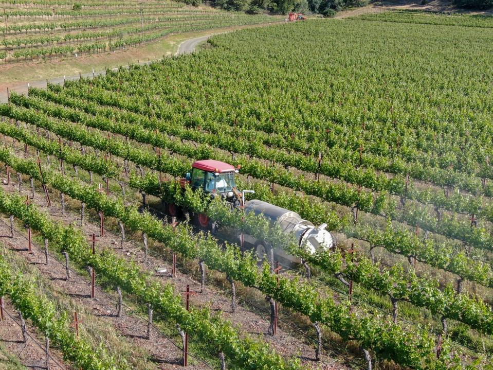Farm tractor spraying pesticides & insecticides herbicides over green vineyard field