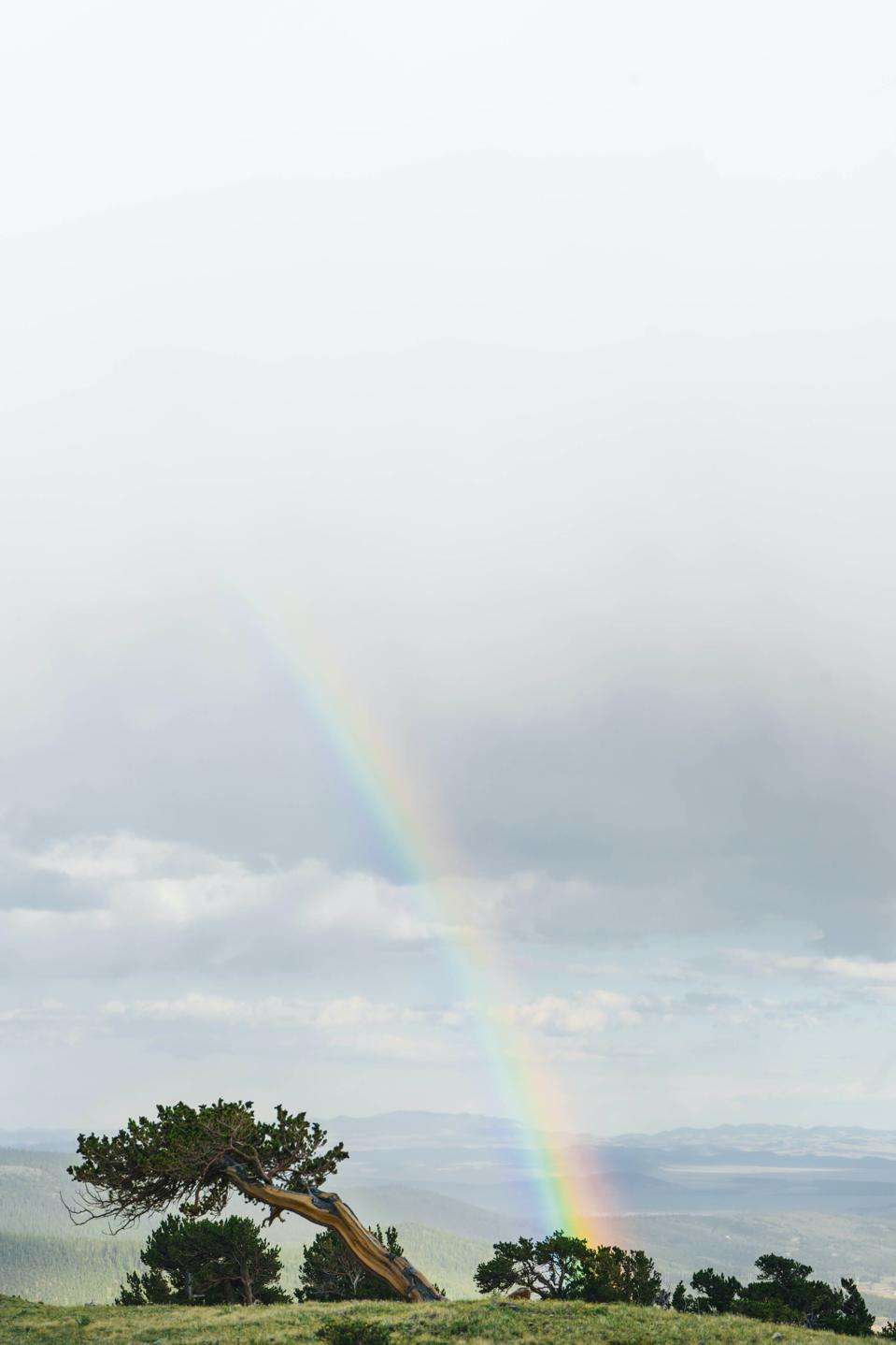 rainbow-Lucas Ludwig-j8b6ChUvNsQ-unsplash