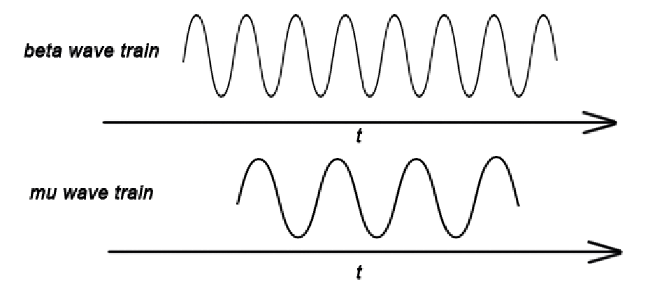 Figure 3: Patients became adept at transmitting specific brain wave frequencies as they trained. Lower-frequency mu waves were exhibited by one patient while high-frequency beta waves were particularly apparent in another patient.