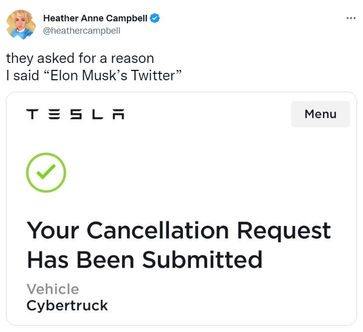 Зображення_бренду Tesla_мийки