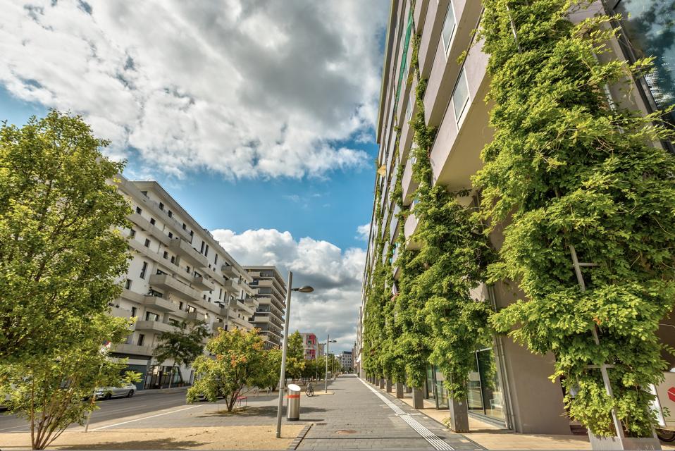 green city street
