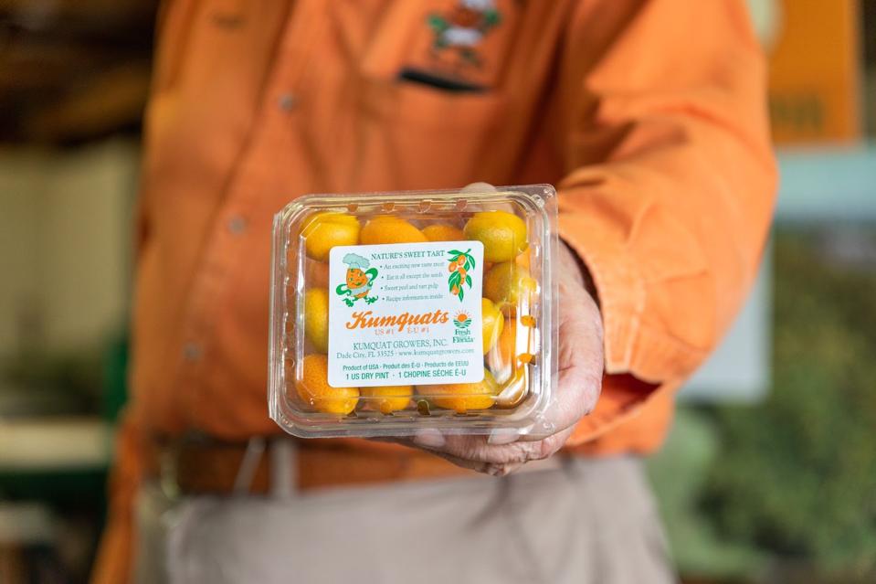 How The Auspicious Kumquat Became The Star Of A Florida County Festival