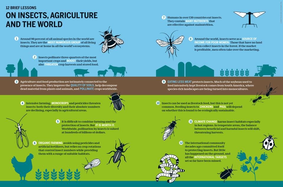 insects-as-food graphic (Credit: Heinrich-Böll-Stiftung / CC BY-SA 2.0)