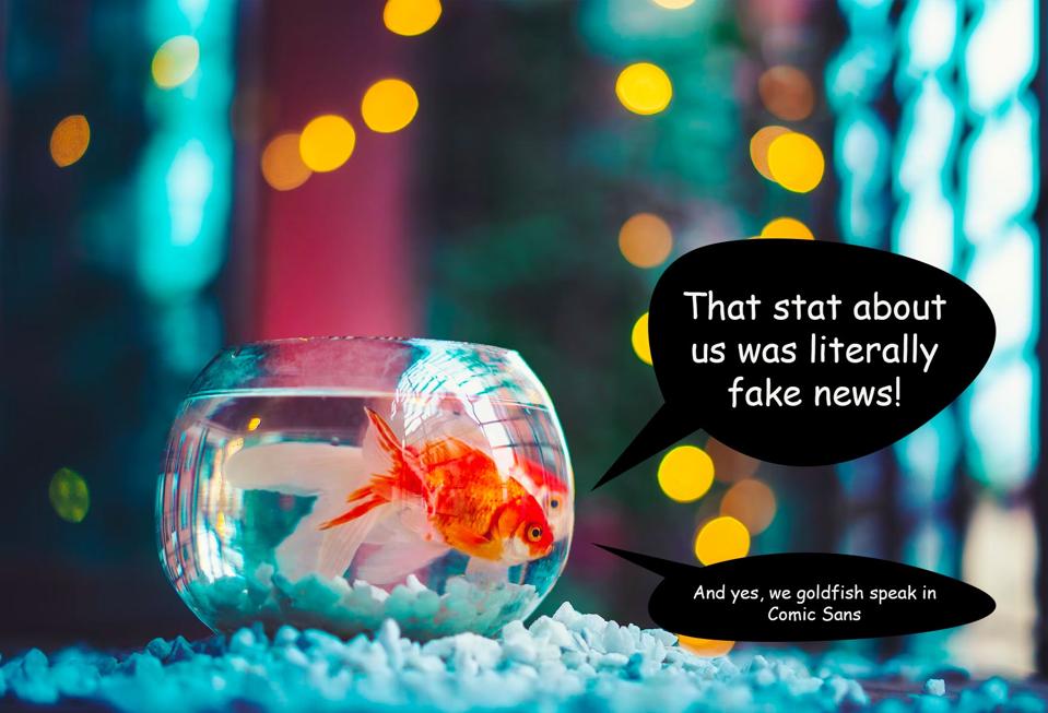 goldfish-attention-span-estadística