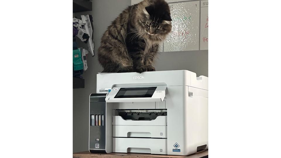 Epson-Loki