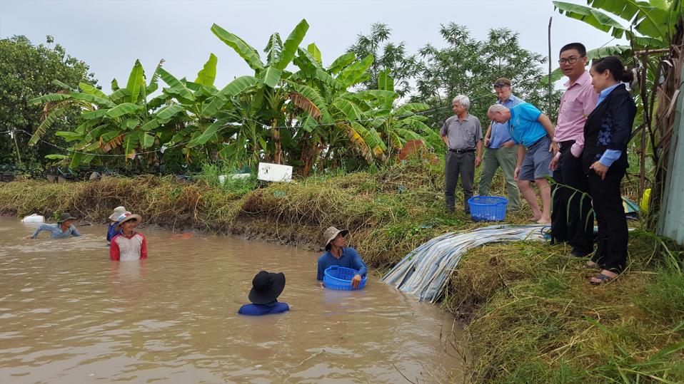 A group of people on the shore of a pond where men harvest shrimp