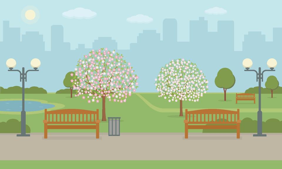 Parque de la ciudad con bancos, césped y árboles florecientes que muestran la importancia de la experiencia laboral y personal