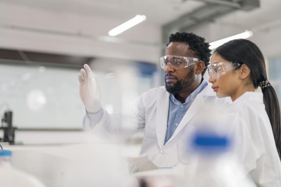 Scientists working in Laboratory for visual analyze the sample in petri dish.