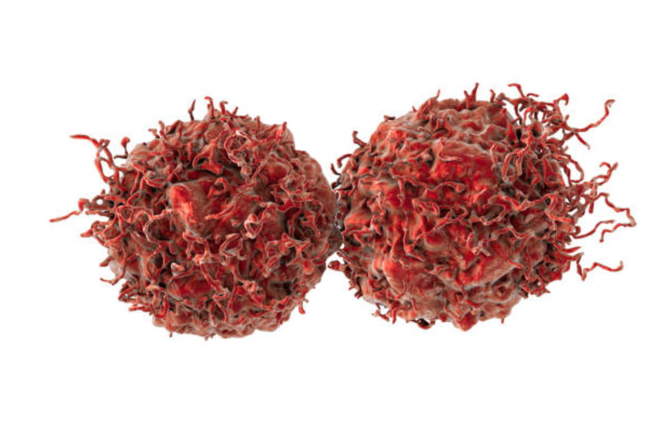 Prostate cancer cells adhere to one another