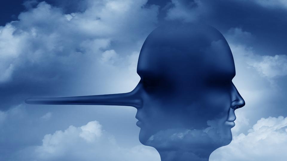 Anna-Zanardi-lies-influence-business-governance
