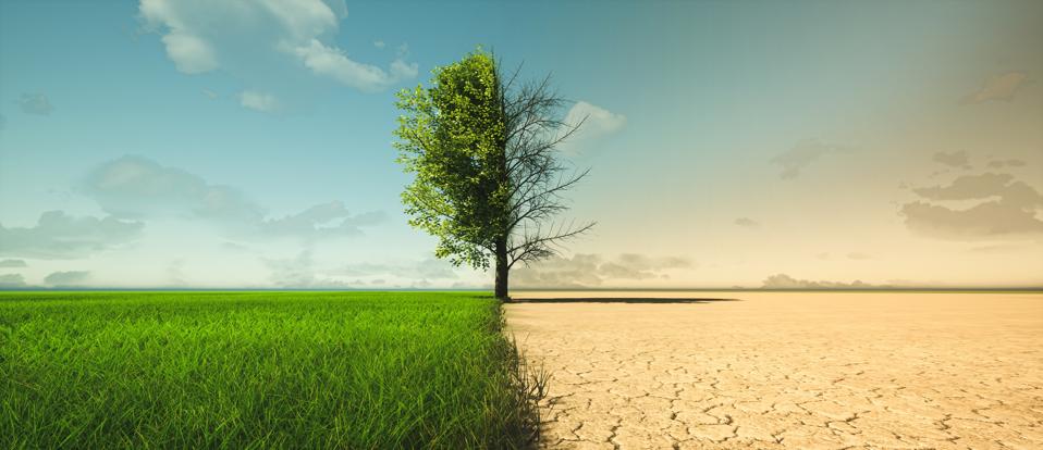 "Clima