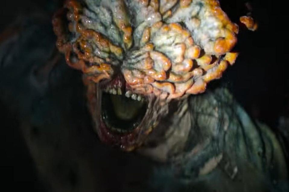 the-fungal-zombies-in