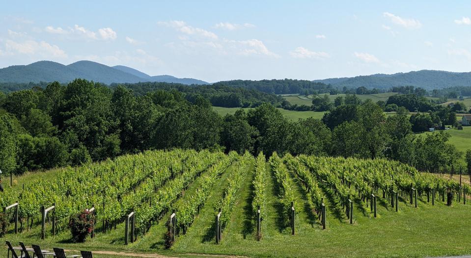 Delaplane Virginia Vineyards