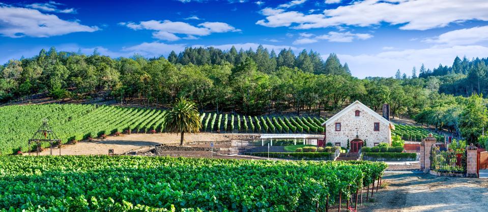 Morlet Family Winery & Estate Vineyard Panoramic