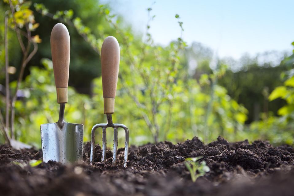Depending what you need or want to do, the tools vary. But they make any job easier.