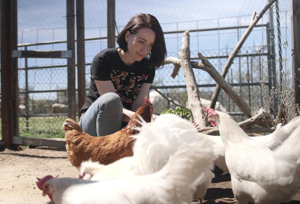 Bond with chickens