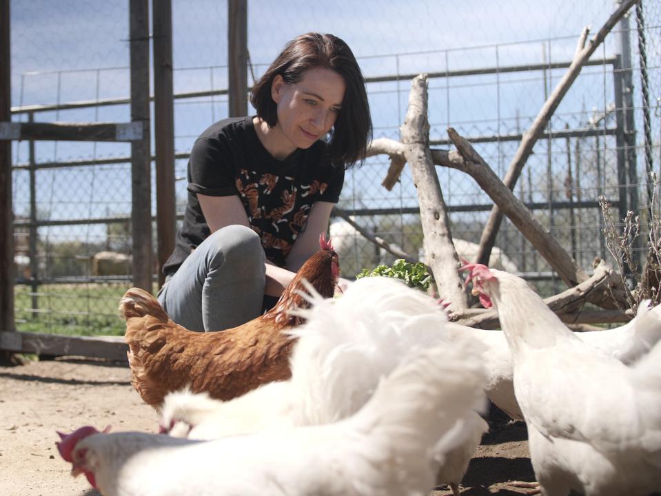 Bond with chickens