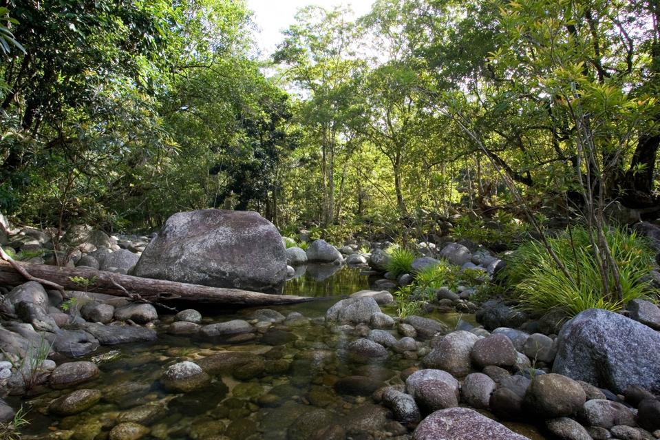 Río Mossman, Daintree, Australia