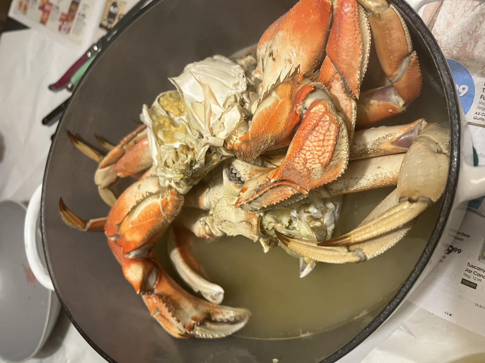 Two Dungeness crabs, for a birthday party of six.