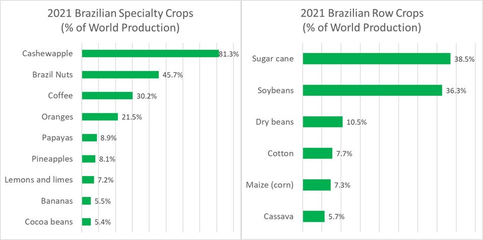 Brazil Crops