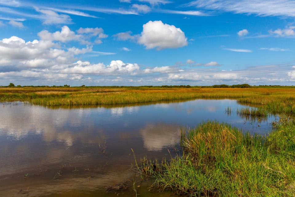 Marsh at Powderhorn North Ranch during the duck off-seaso
