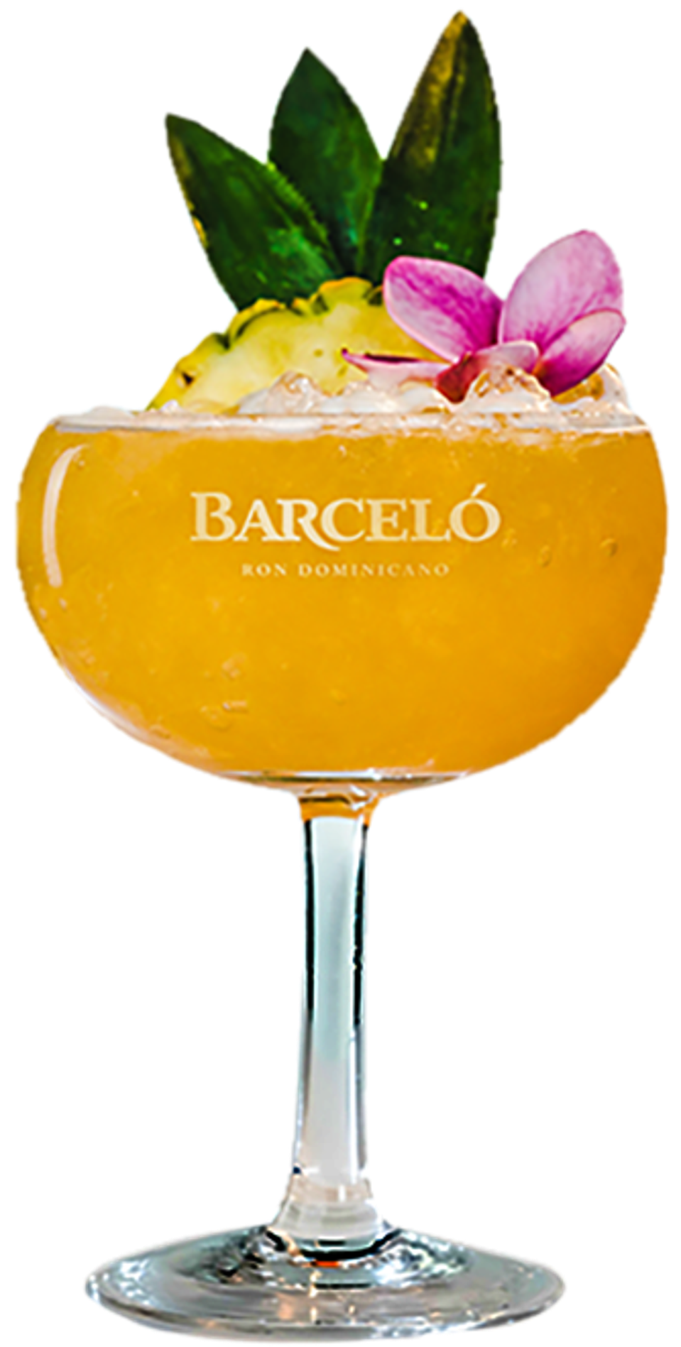 The Mai Tai Cocktail.