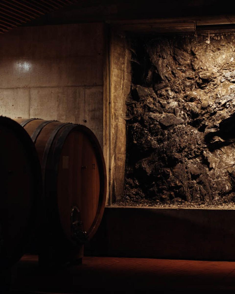 Wine cellar at ColleMassari  Photo Credit ColleMassari Wine Estates