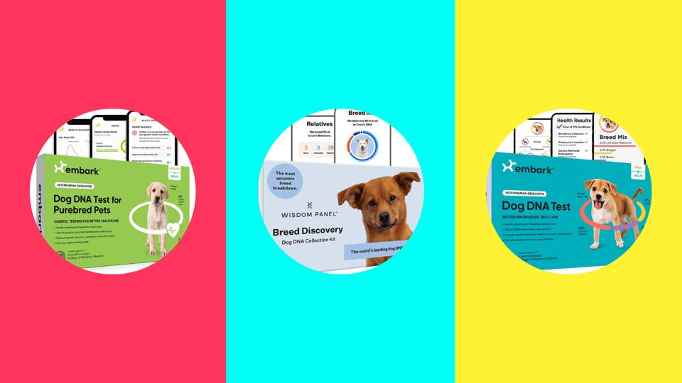 Dog Breed Wisdom Panel Health Dna Test Wisdom Panel Premium Dna