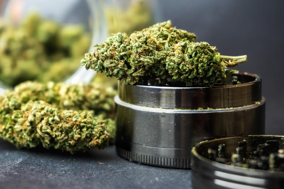 Medical Marijuana flower buds in glass jar and grinder