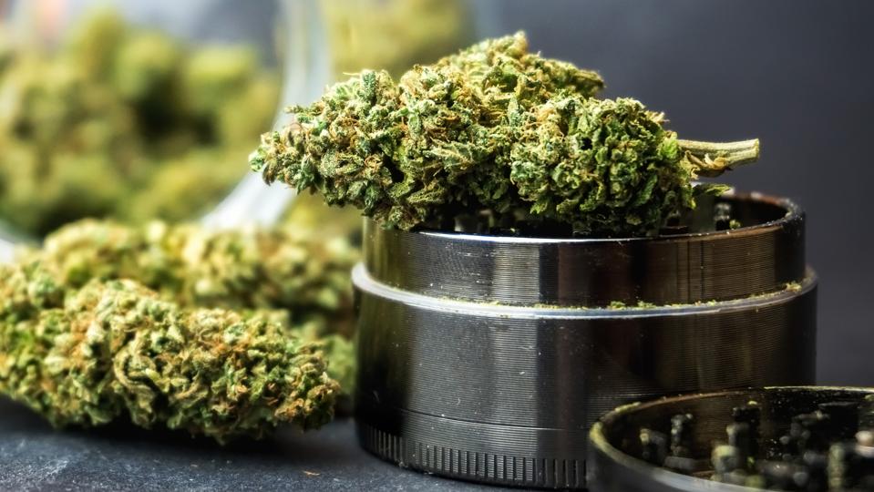 Medical Marijuana flower buds in glass jar and grinder