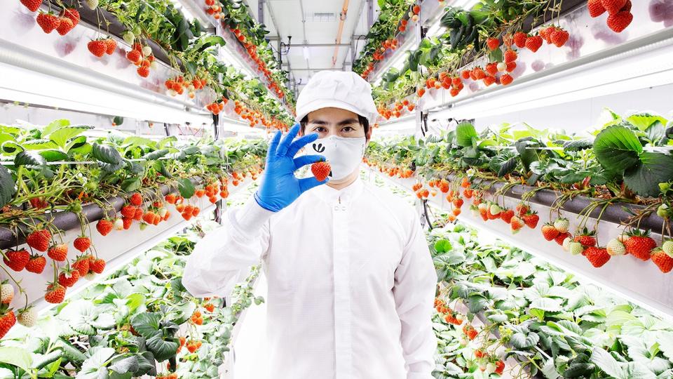 Hiroki Koga in Farm_Courtesy Oishii
