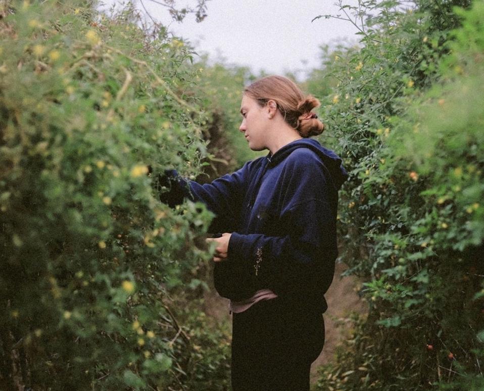 Lilly Cross, garden director at Ronin, harvests tomatoes from the farm.