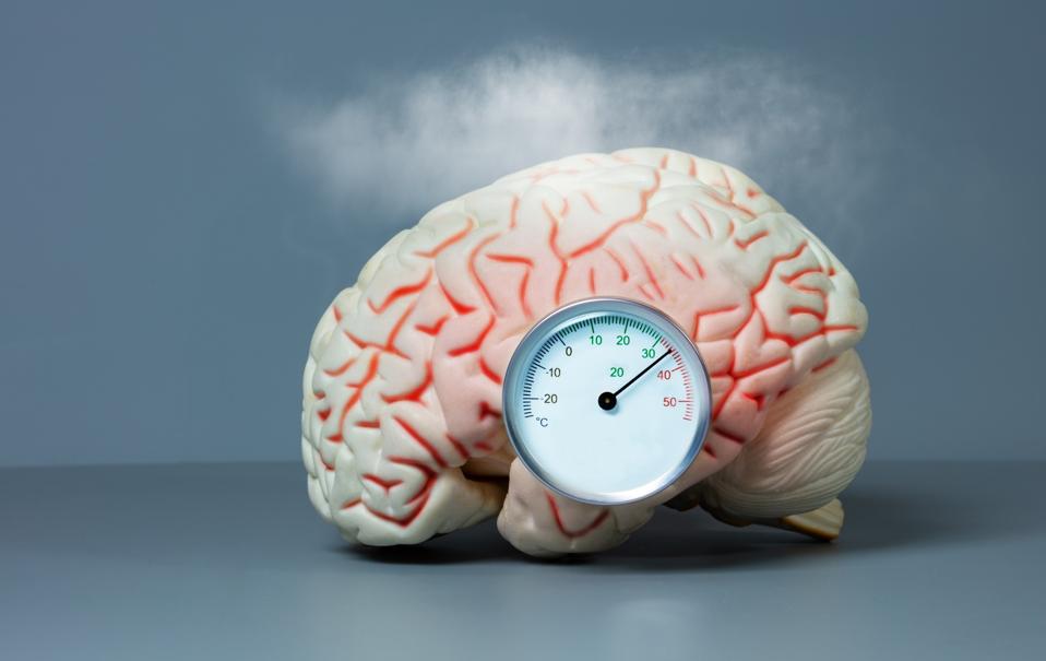 Klotho: Hope For Increased Longevity And Reduced Neurodegenerative ...