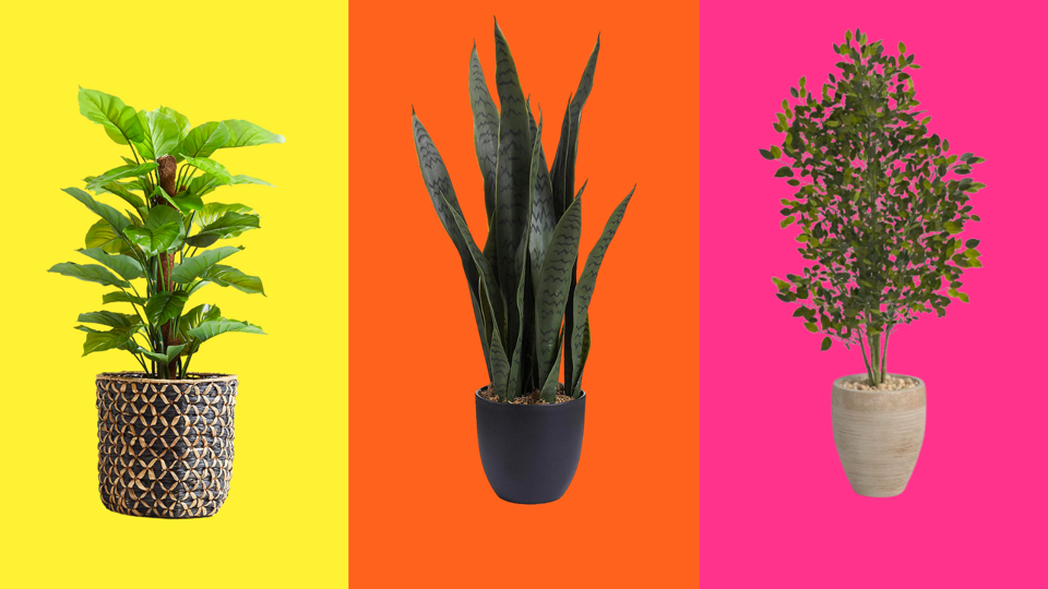 Best Fake Plants 2024 Forbes Vetted