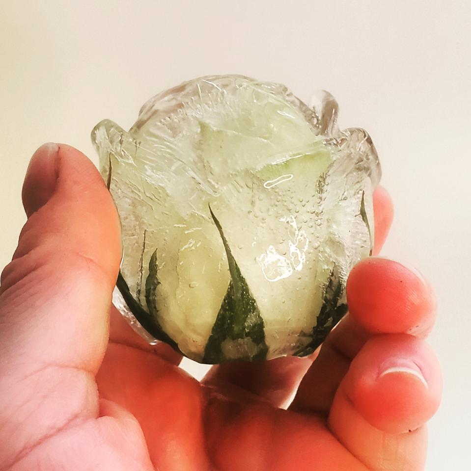 a hand holding a rose shaped ice cube