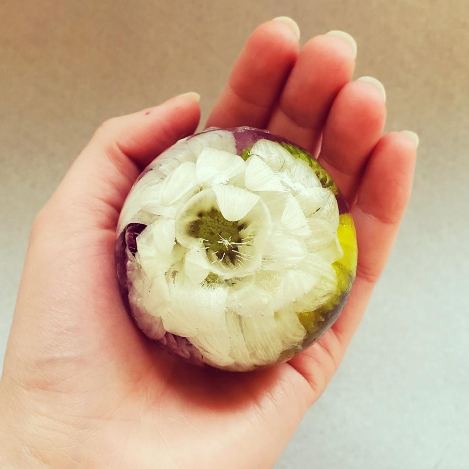 hand holding a fresh flower encased in ice.