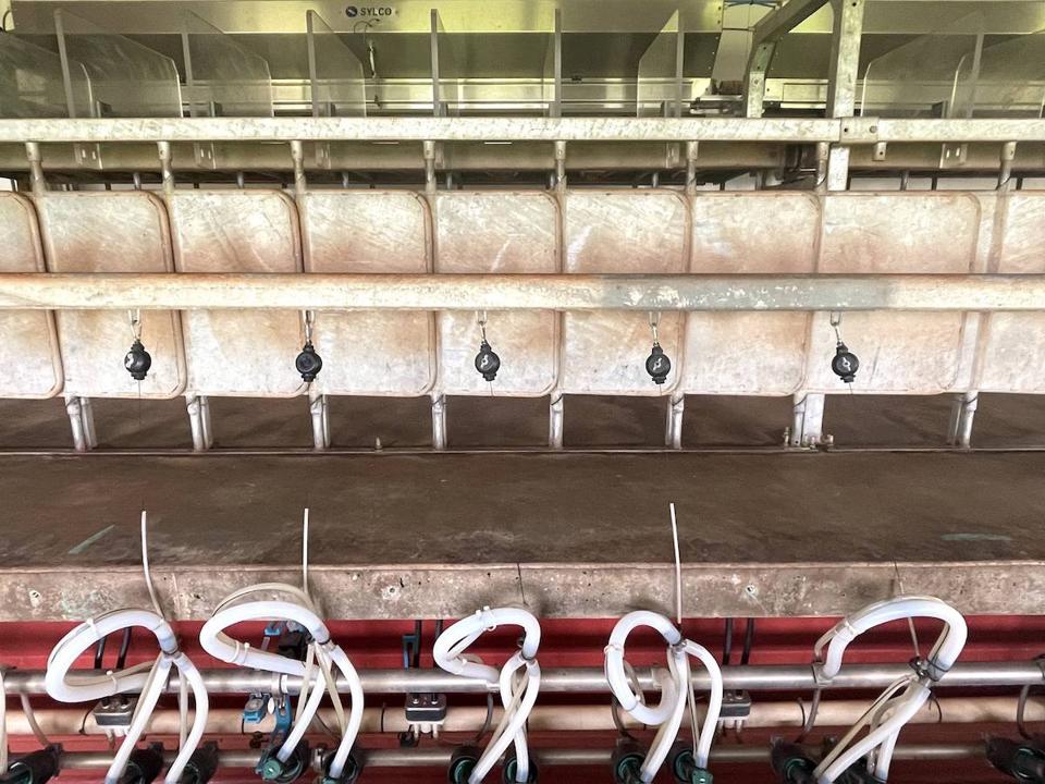 The milking parlor at Sweet Land Farm Hawaii