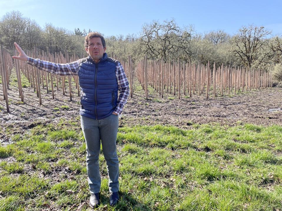 winemaker in front of vineyard