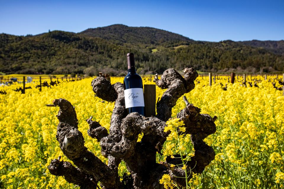 Bottle of Elyse Zinfandel Photo Credit Courtesy of Elyse Winery