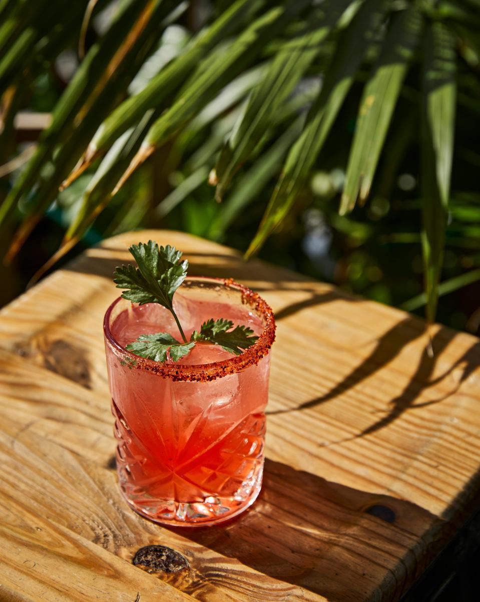 Cocktail on a table with plants background