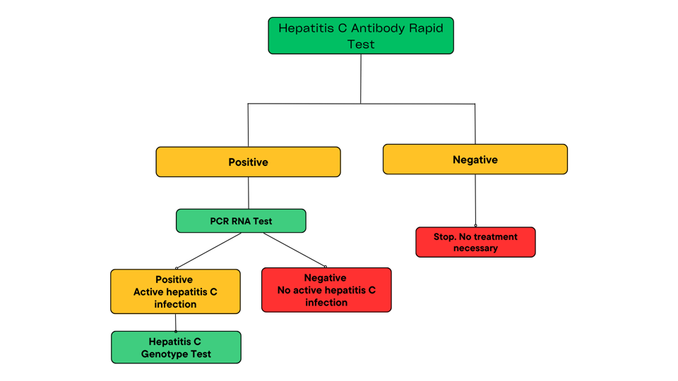 THE HEPATITIS C DIAGNOSIS CASCADE