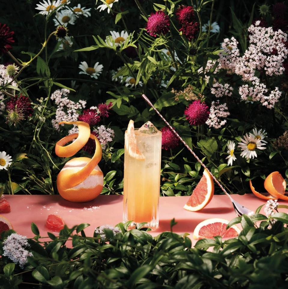 the-macallan-garden-of-legacy_best-spring-cocktails-2023