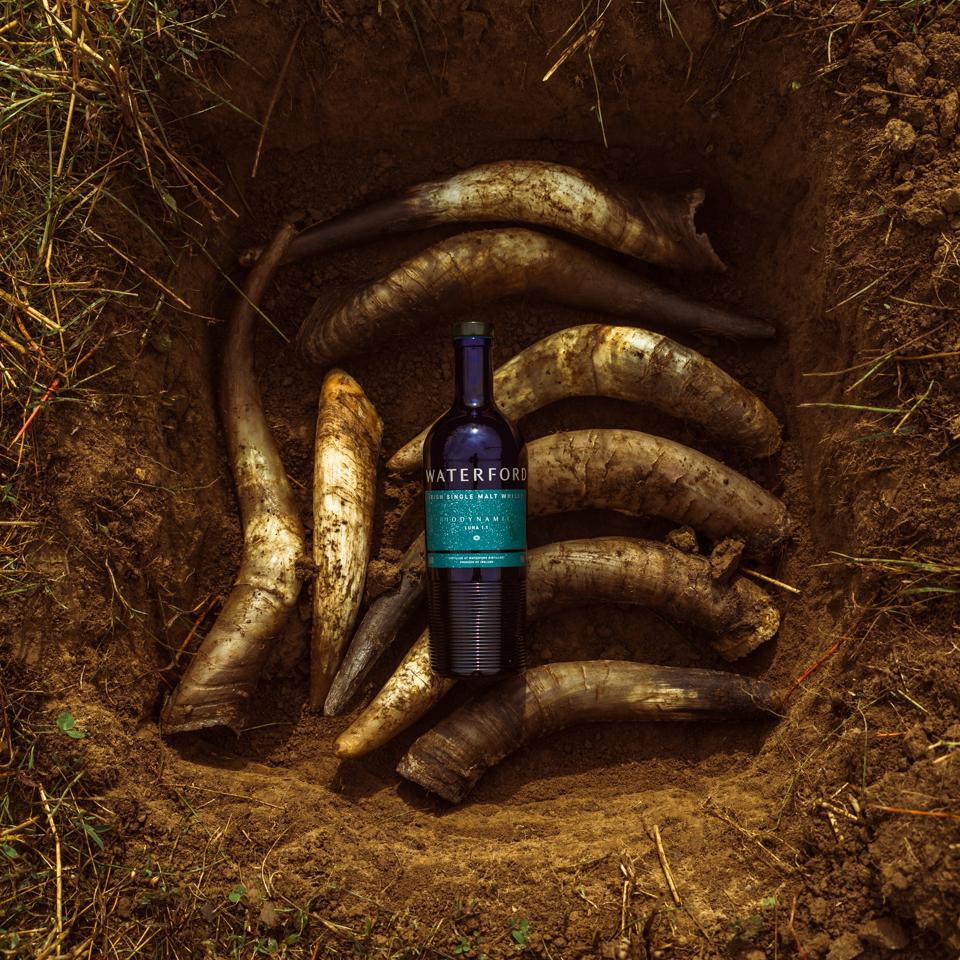 WD-Biodynamic-2021-WEB-254