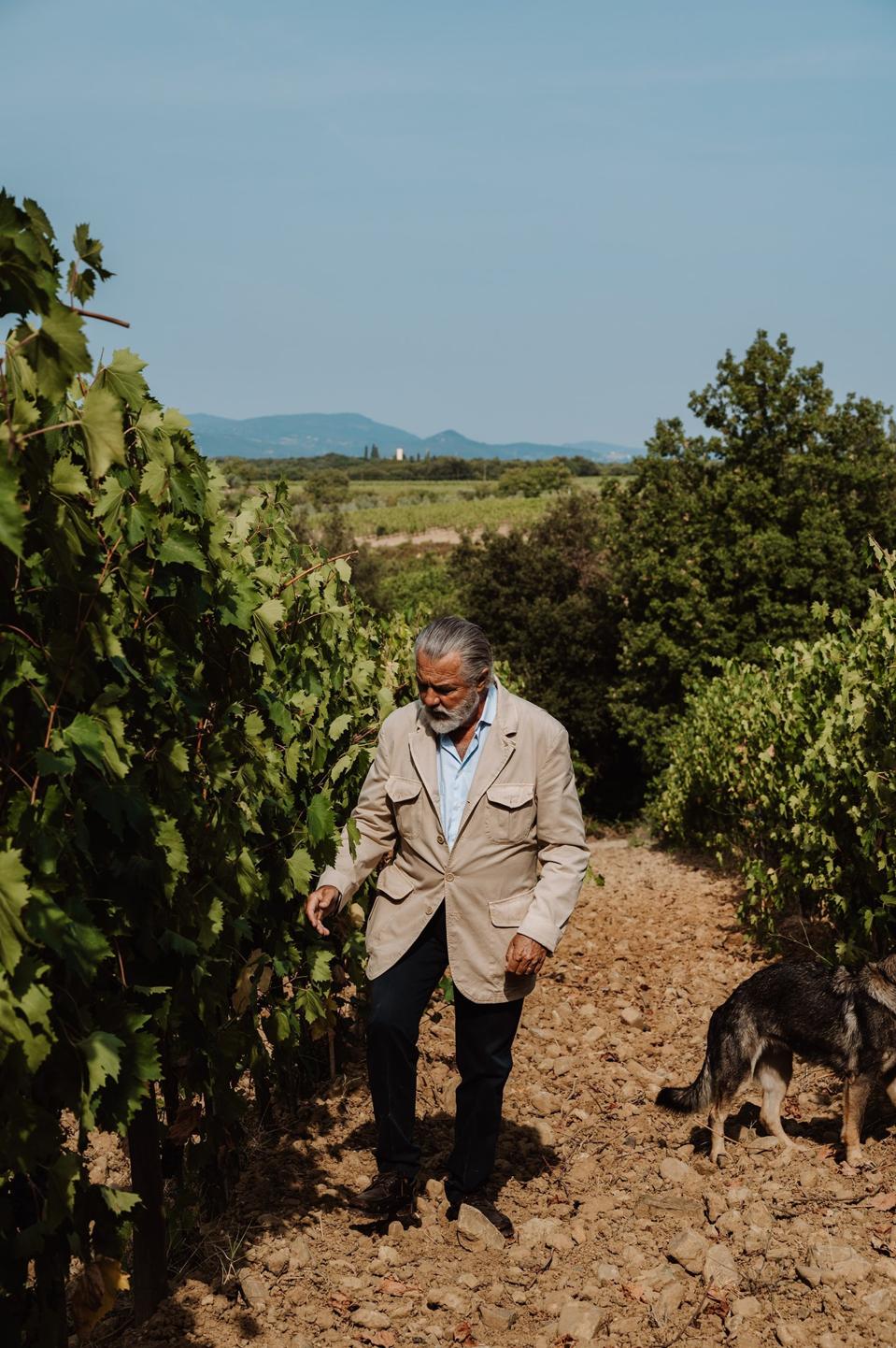 Count Francesco Marone Cinzano in the Poggio al Vento vineyard which was planted in 1974 Photo Credit Col d'Orcia