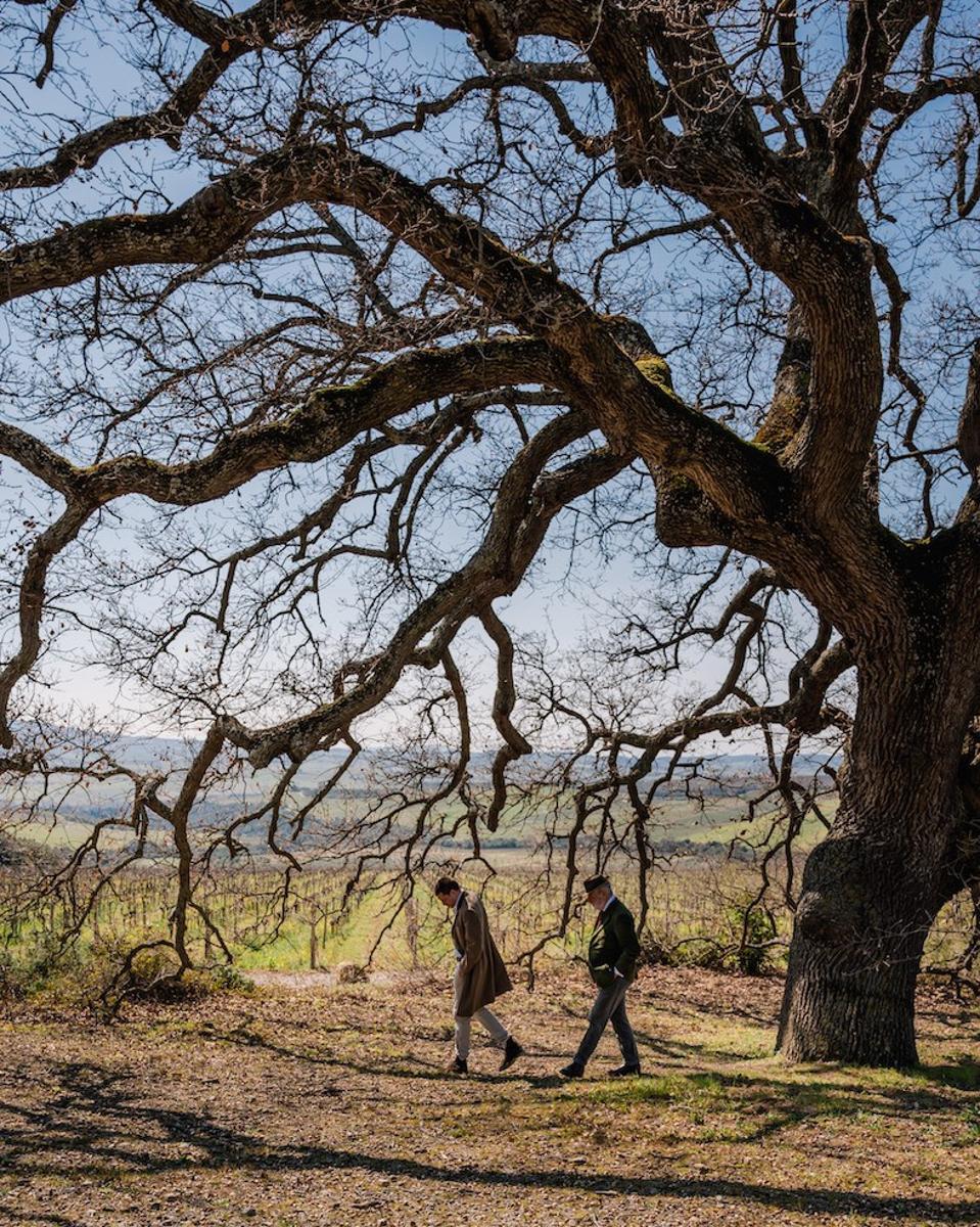 Count Francesco Marone Cinzano under the oak tree with his son Photo Credit Col d'Orcia
