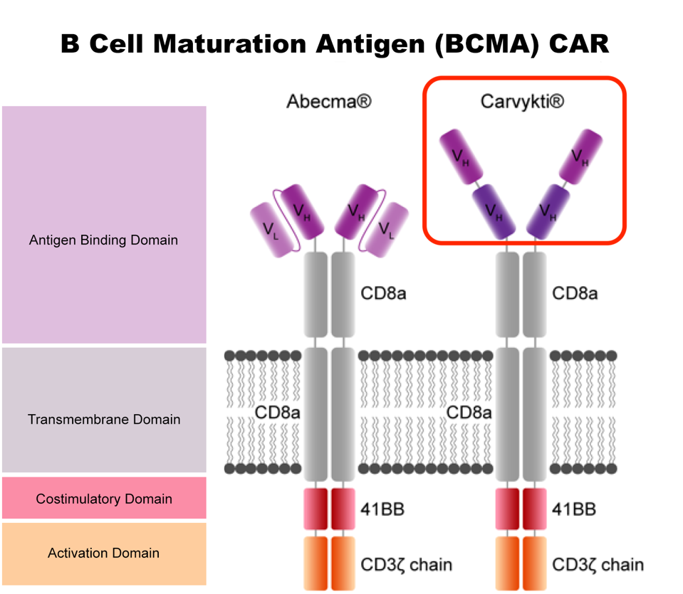 BCMA CAR comparison