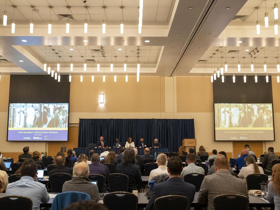 Enteric Audience 4 good