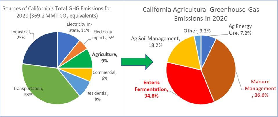 Methane Perspective