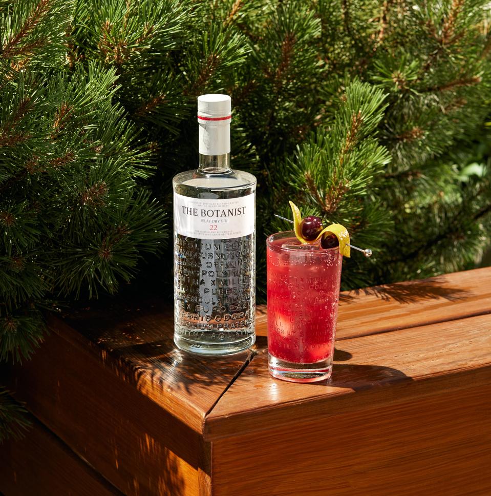 16 Best Gin And Tonic Recipes For Summer Patabook Travel