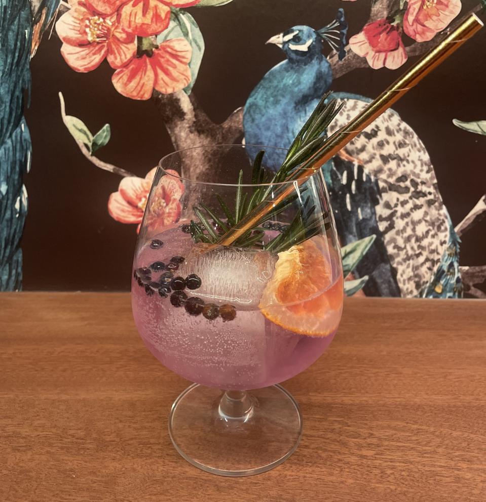 peacock-gin-and-tonic_best-gin-and-tonic-recipes_2023